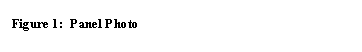 Text Box: Figure 1:  Panel Photo